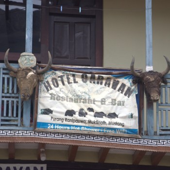 Purang - way to Lo Mangthang